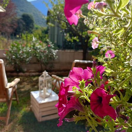 La Civetta Appartamento Con Giardino E Parcheggio Nave  Esterno foto