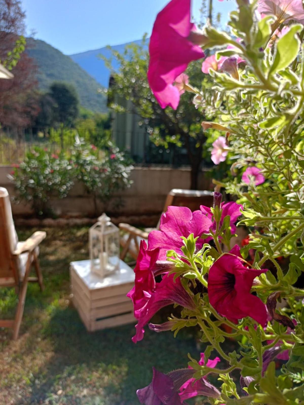 La Civetta Appartamento Con Giardino E Parcheggio Nave  Esterno foto